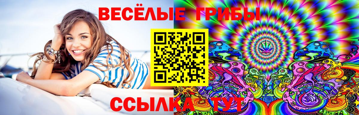 Майкоп  Галлюциногенные грибы прущие грибы  Вход с VPN  Галлюциногенные грибы GOLDEN TEACHER 
